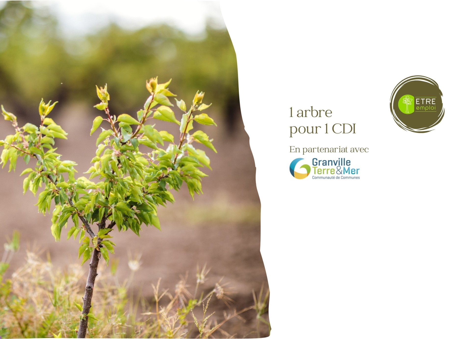 Notre engagement pour l'environnement