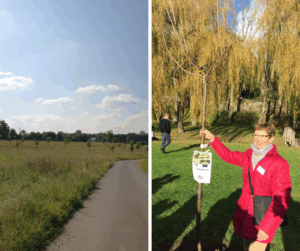Plantation 1 arbre pour 1 CDI signé 