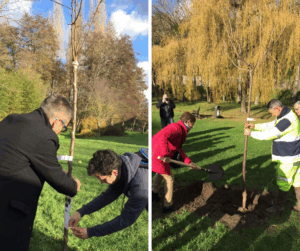 Session 2017 1 arbre pour 1 CDI