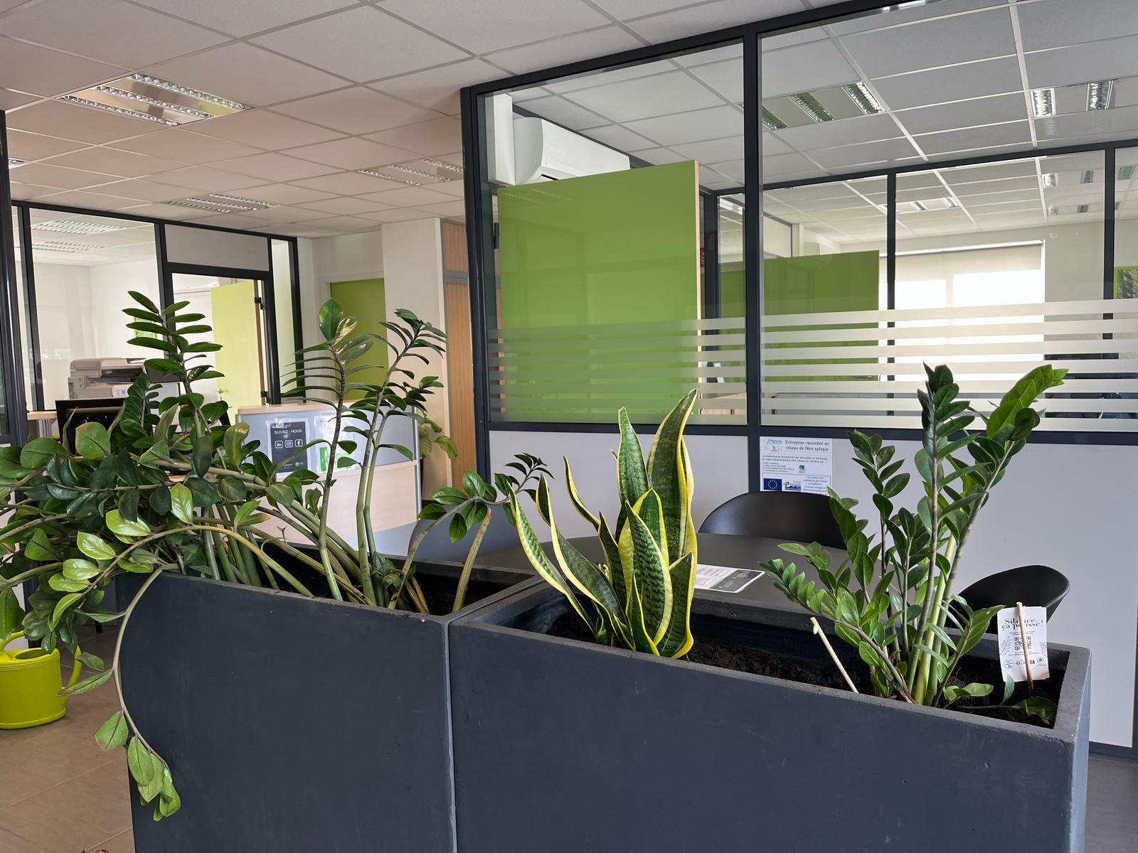 L'agence d'intérim ETRE emploi Avranches a de nouvelles plantes