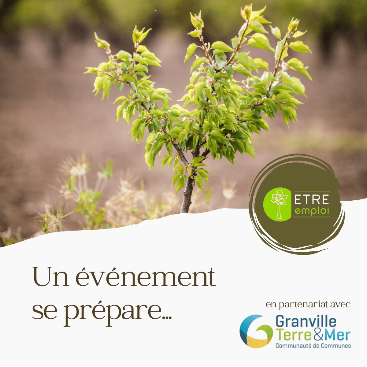 Evénement 1 arbre planté pour 1 CDI signé